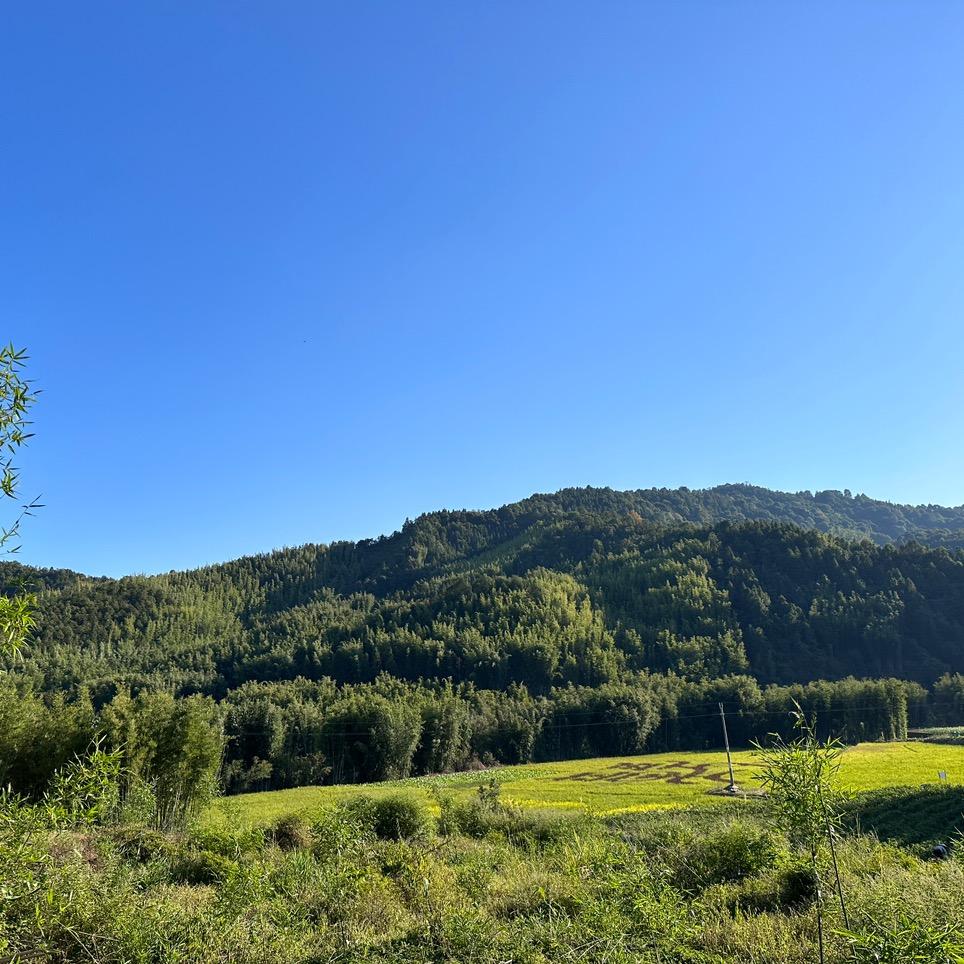 草莓的小仙女@抖音