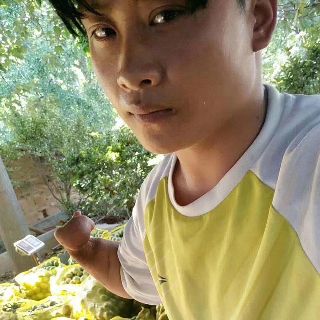 灵宝兄妹