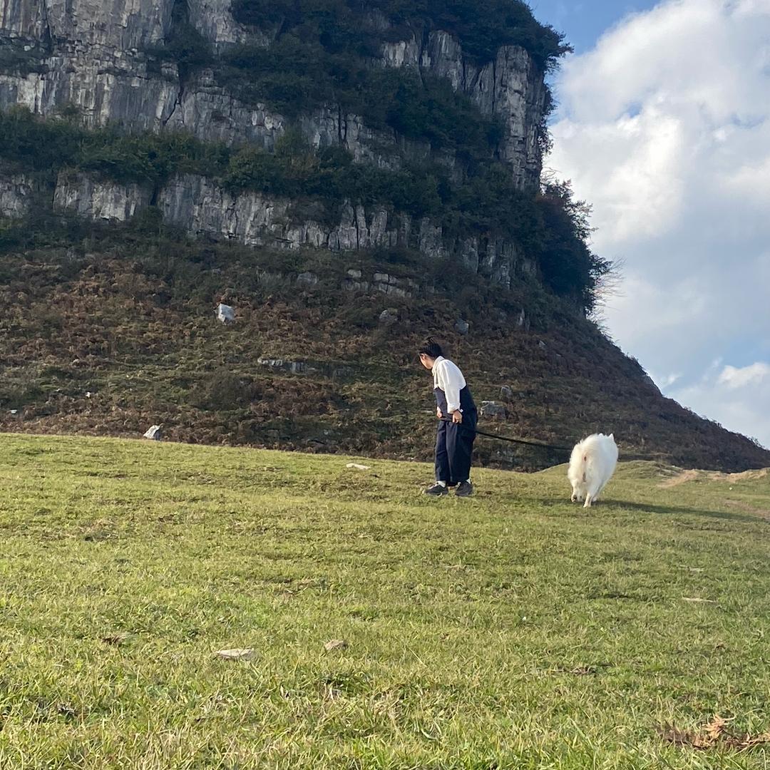 乌江寨万事通🫡