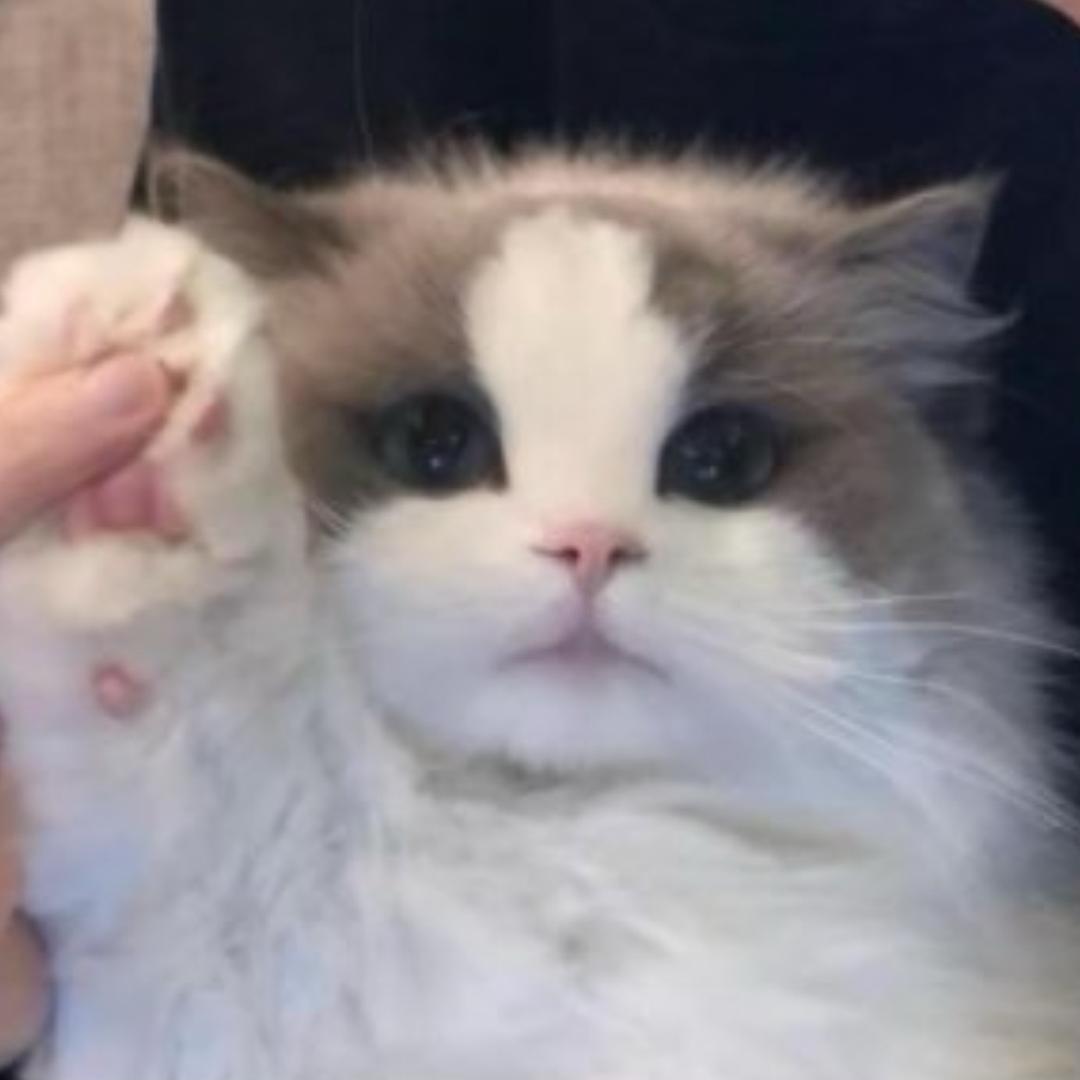ANY