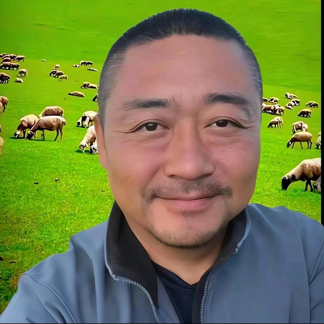 老马草原精选