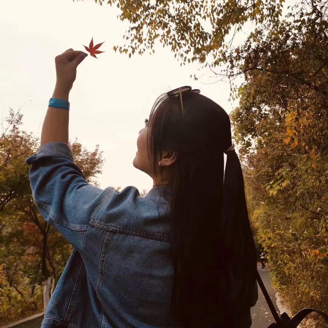 ☀️拾壹