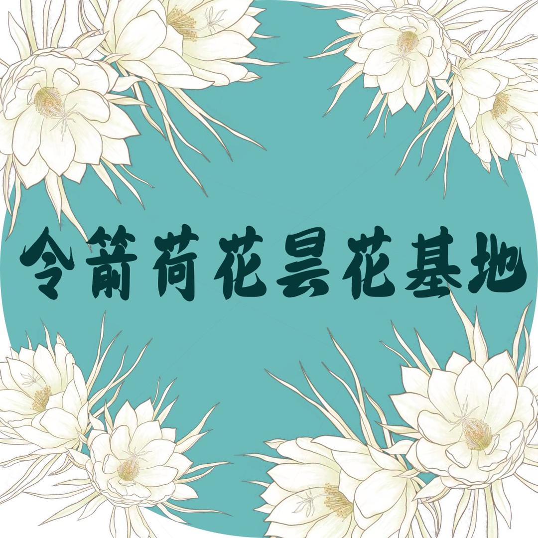 令箭荷花昙花基地