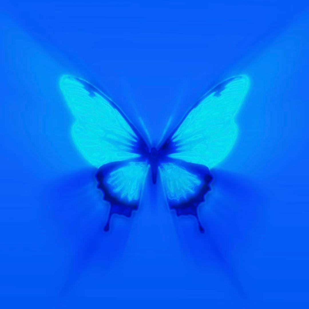 𝚔𝚔𝚔 ◟🦋˚