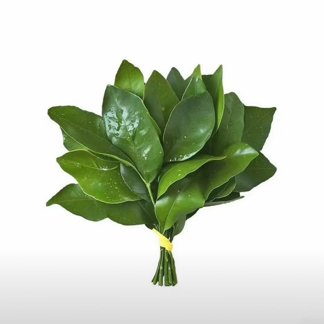 荔枝🫧