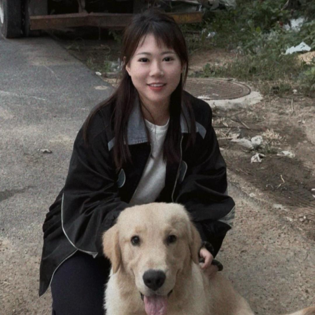 会飞的陈老板💼