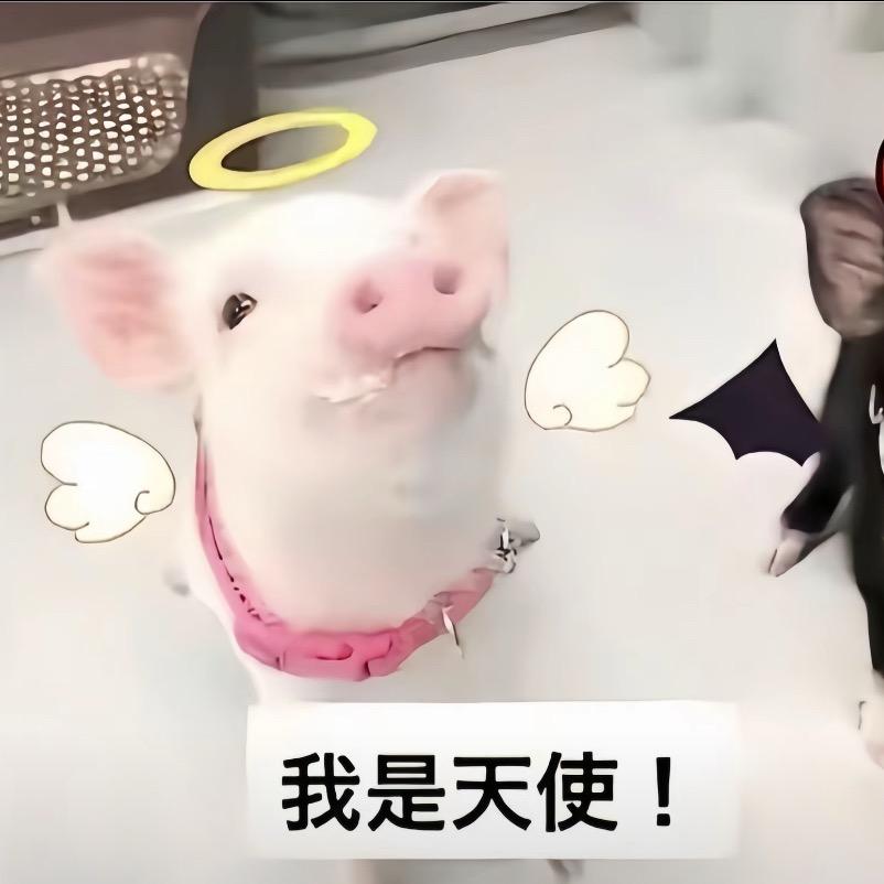 怡¹🍔