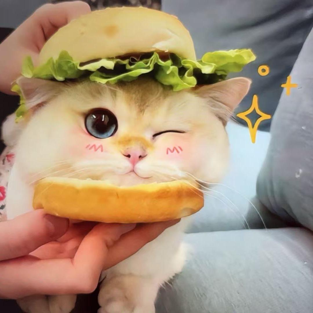 TY小老弟