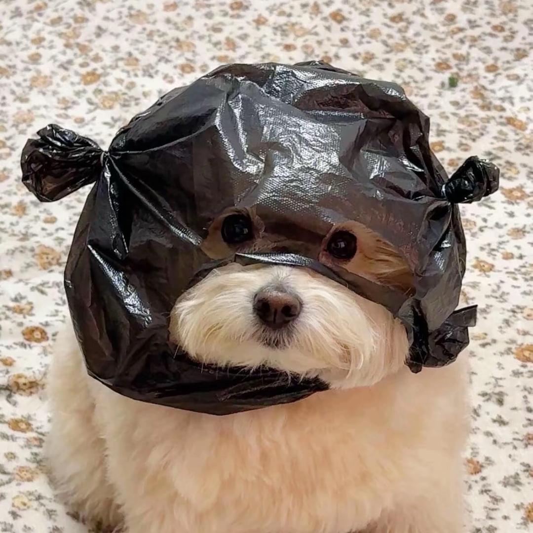 你那么忙怎么有空想我