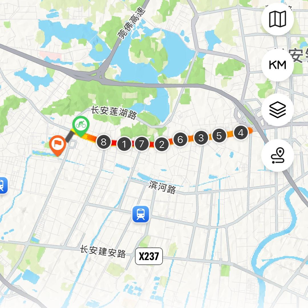 龙的传人
