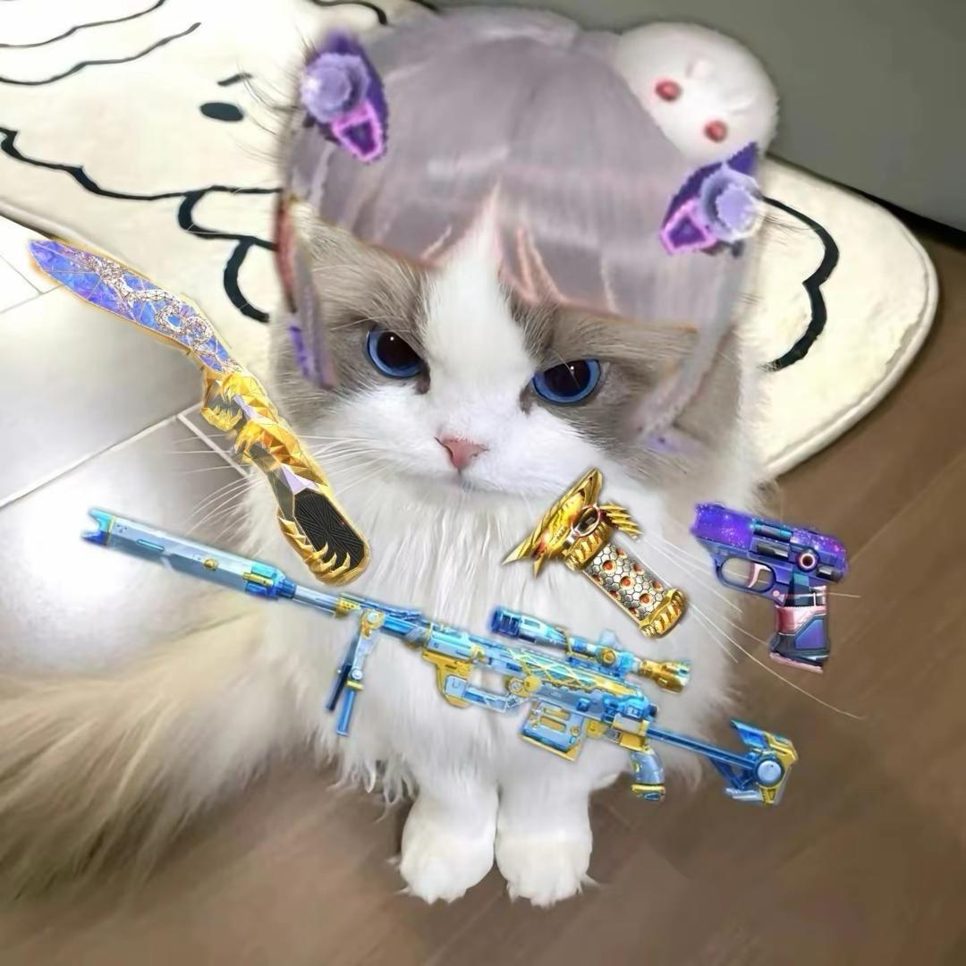 睡觉