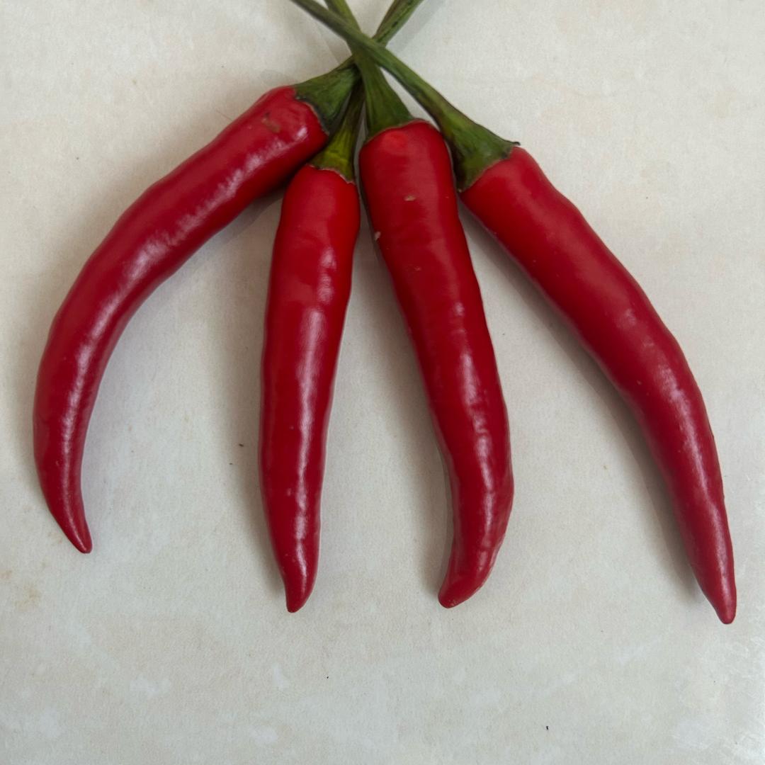 小辣椒