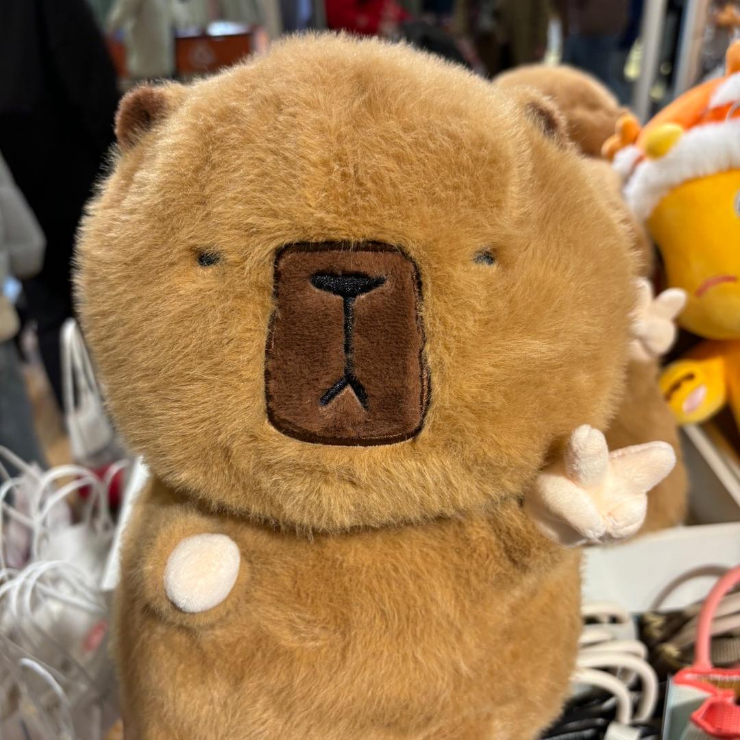 小张小张不慌张