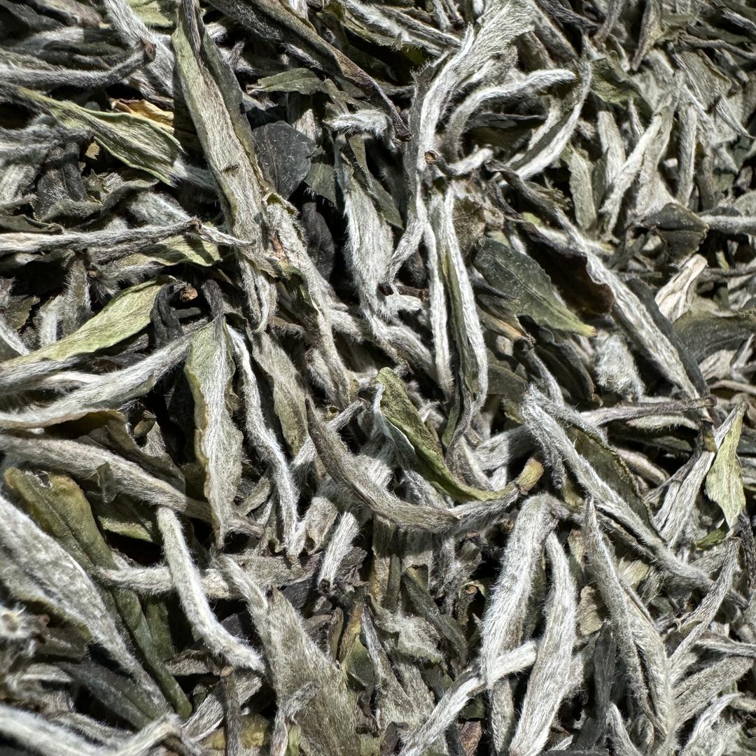 江江茶叶一江缘茶业