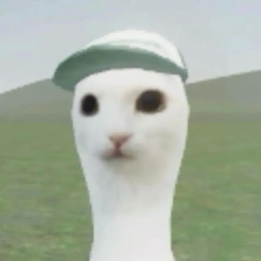 专升本备考勿扰