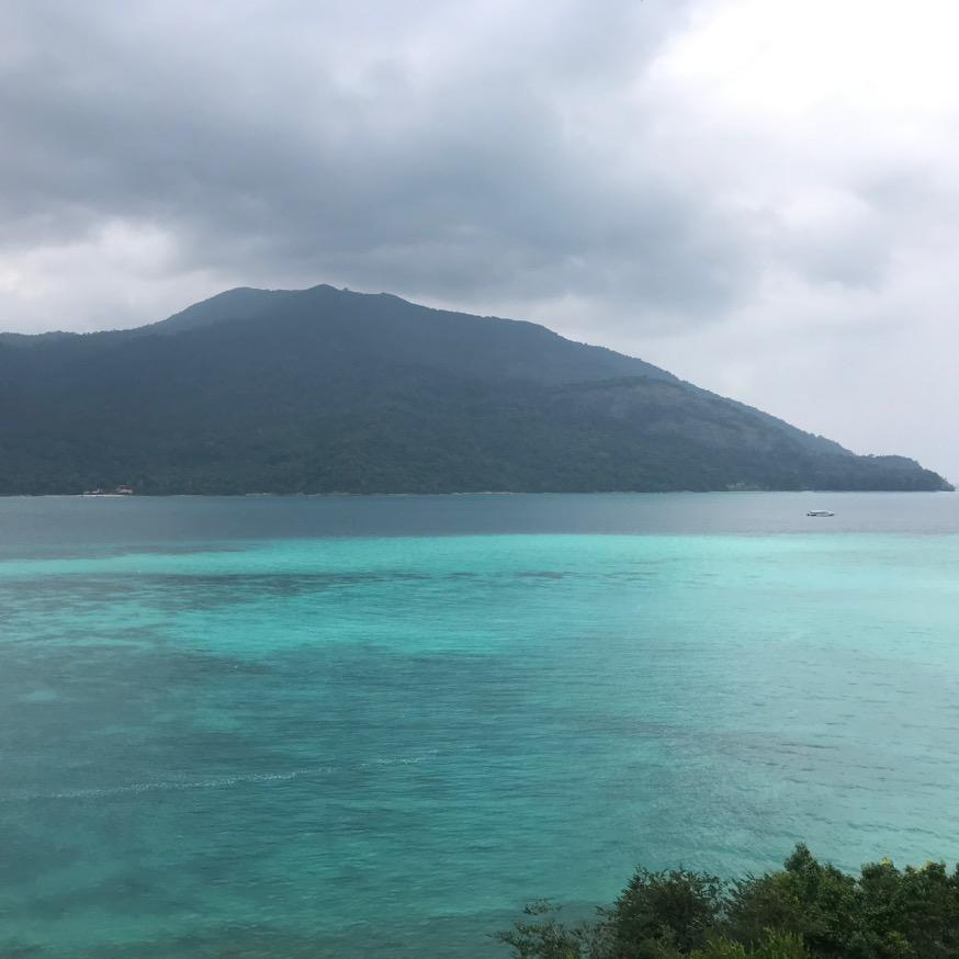 只想简单快乐🎉