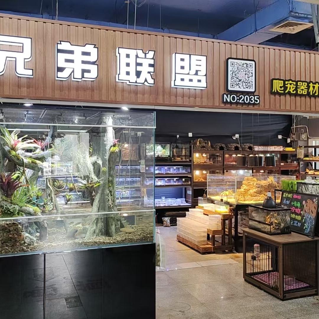 兄弟爬宠创意屋