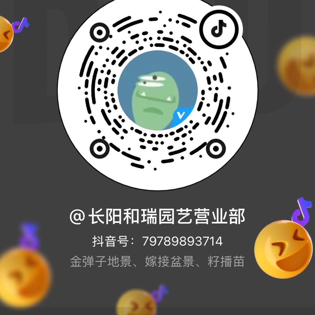 和瑞园艺（金弹子）