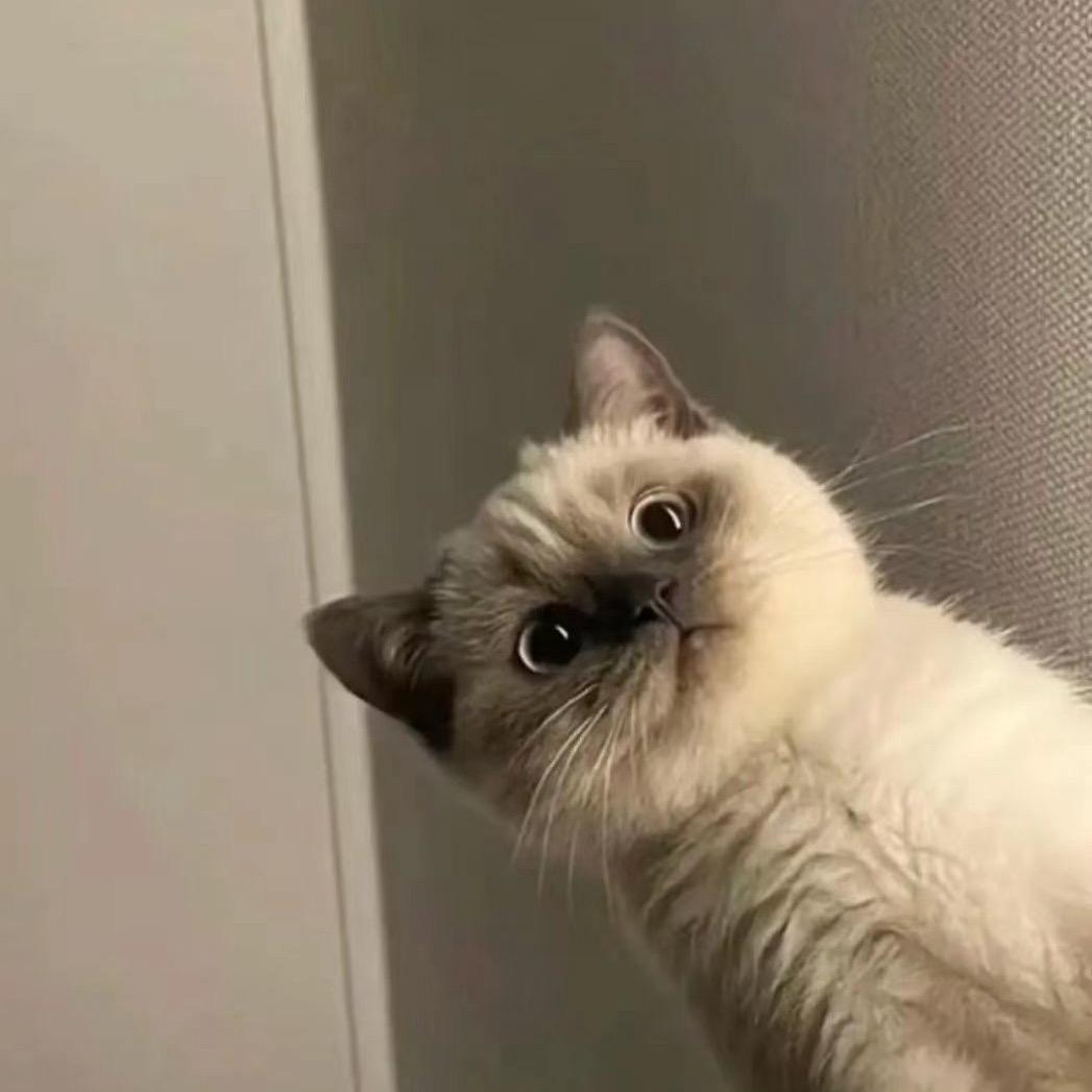 WA