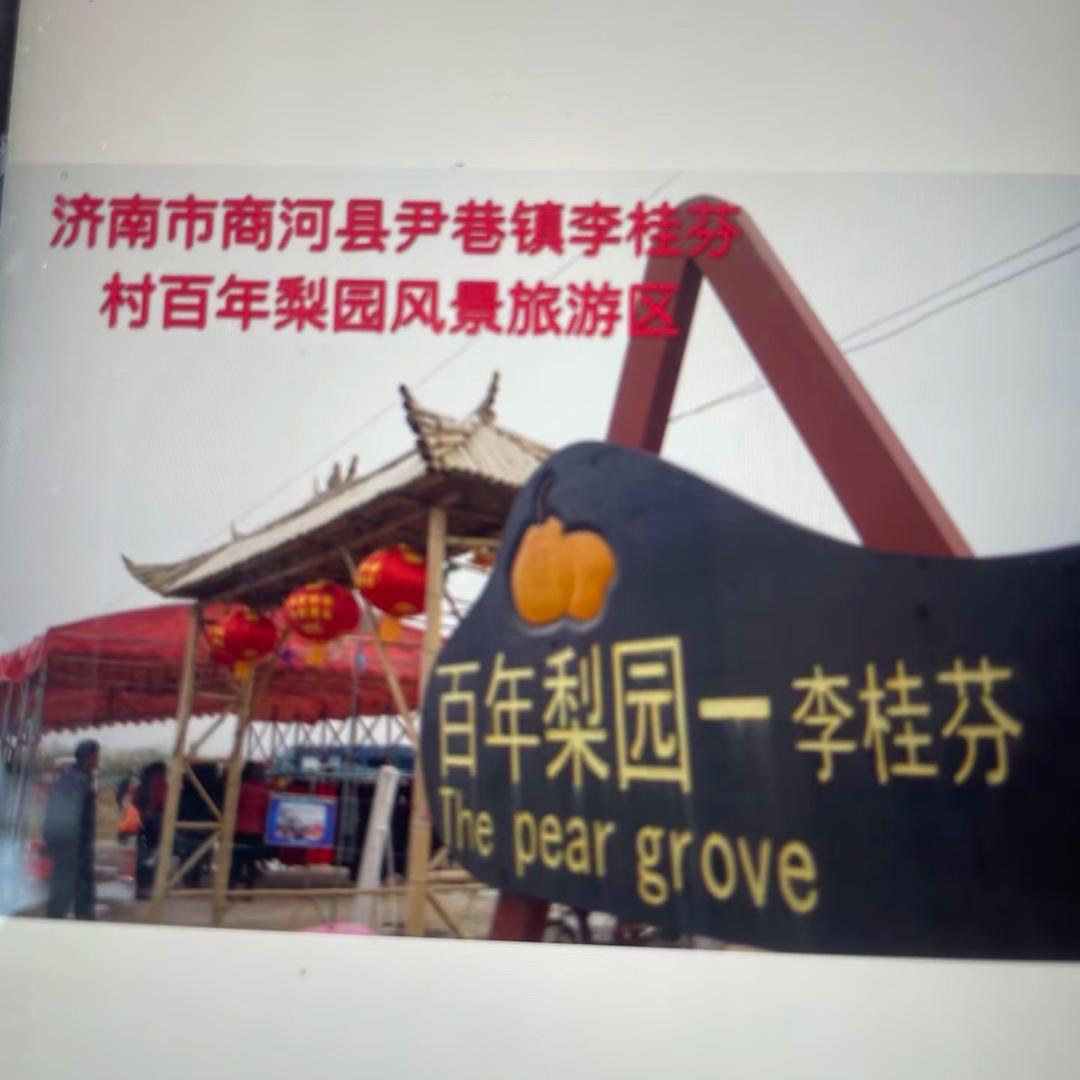 商河县百年梨园