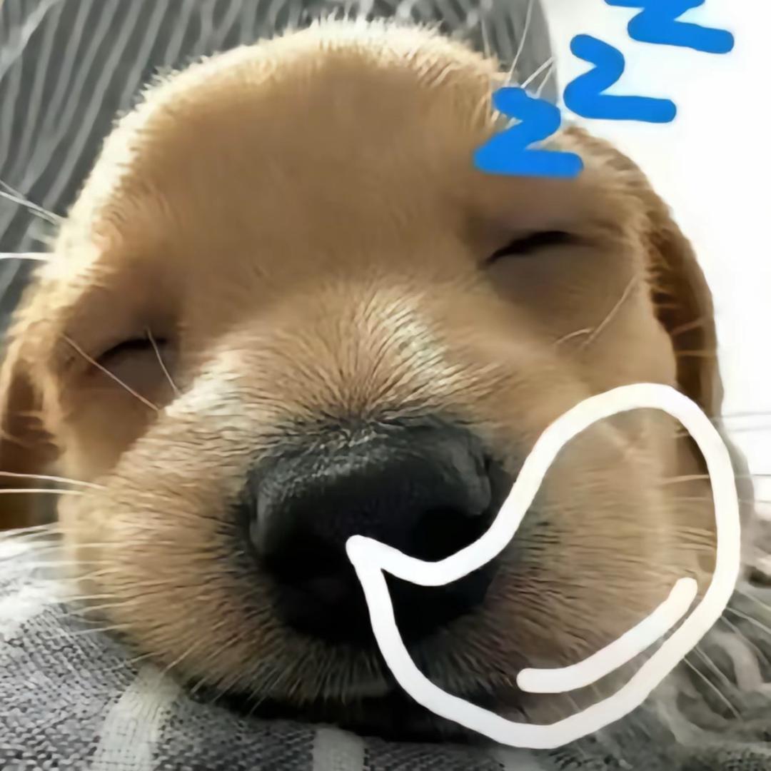 你不说真心话要让我怎么为你大冒险