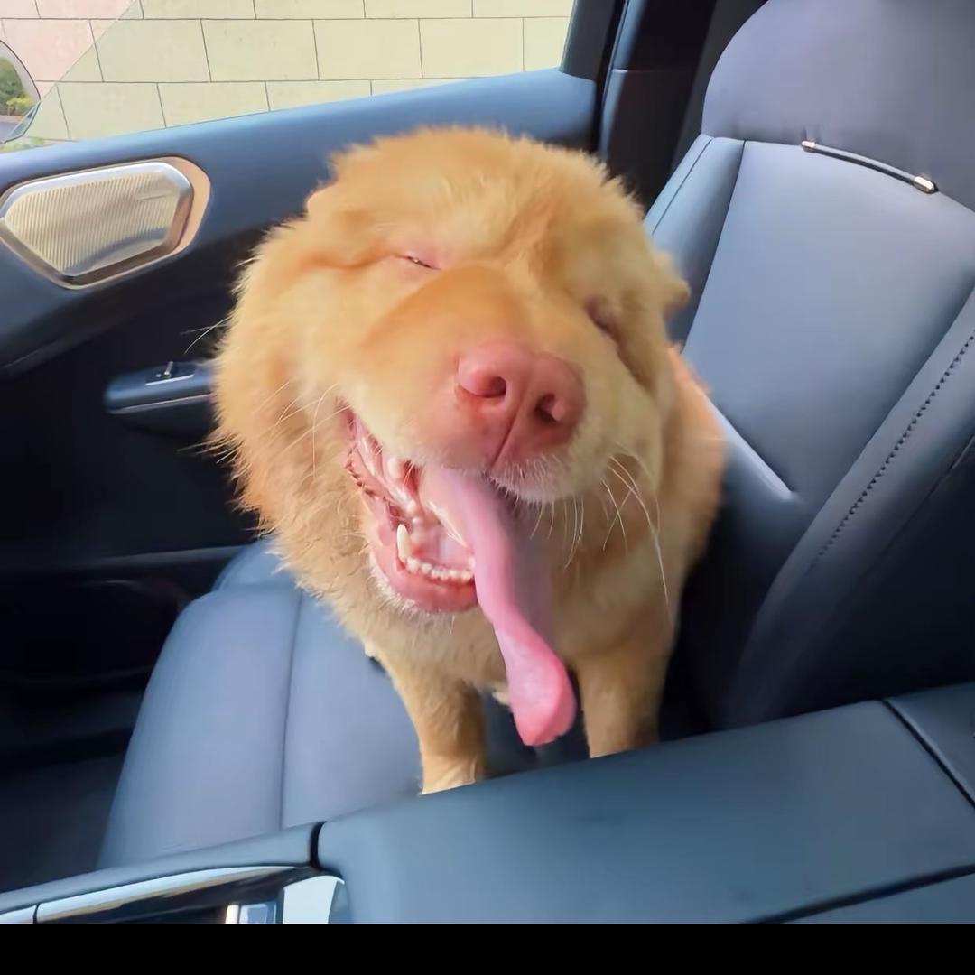 小米小胖的朋友圈😭