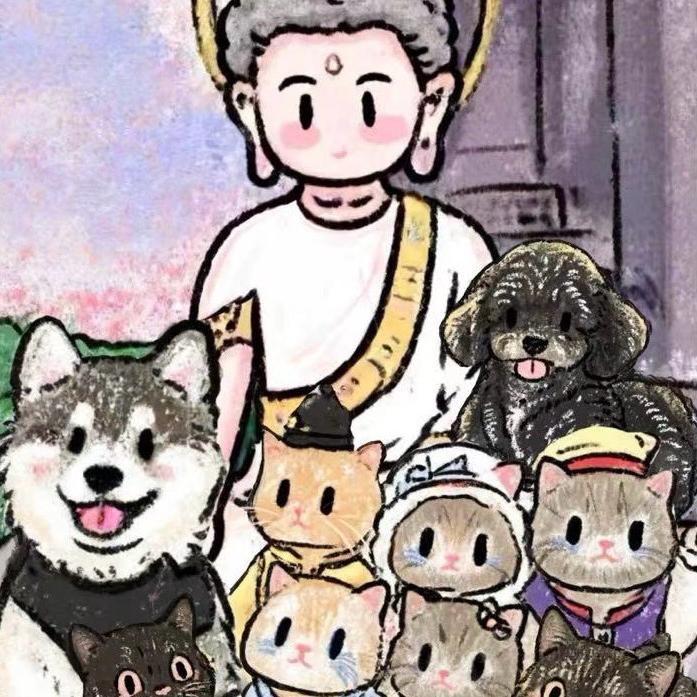 书书是阿拉撕家