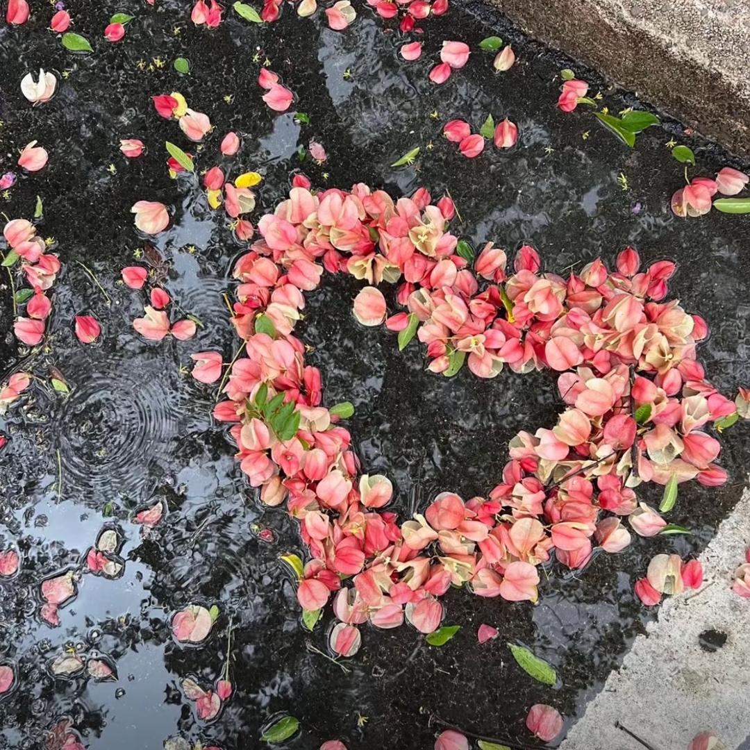 泡沫