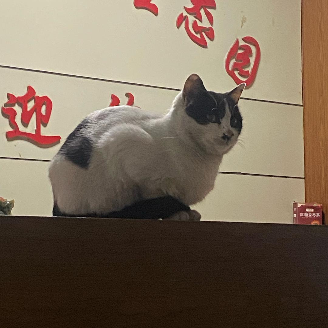 断,舍.离：吕