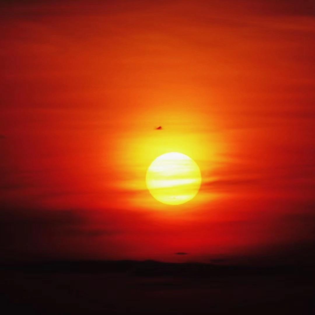 一颗大袁子