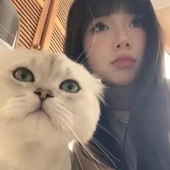 汉堡包