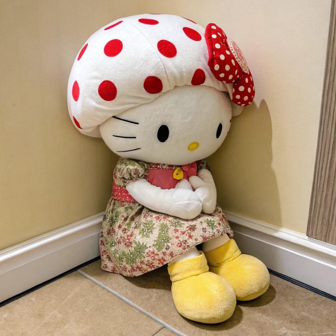 傻子在念我的名字