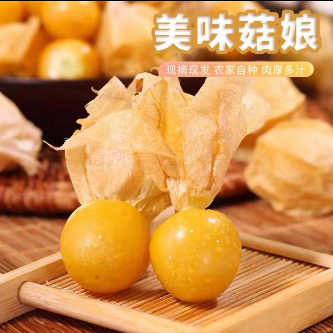 美丽水果二店