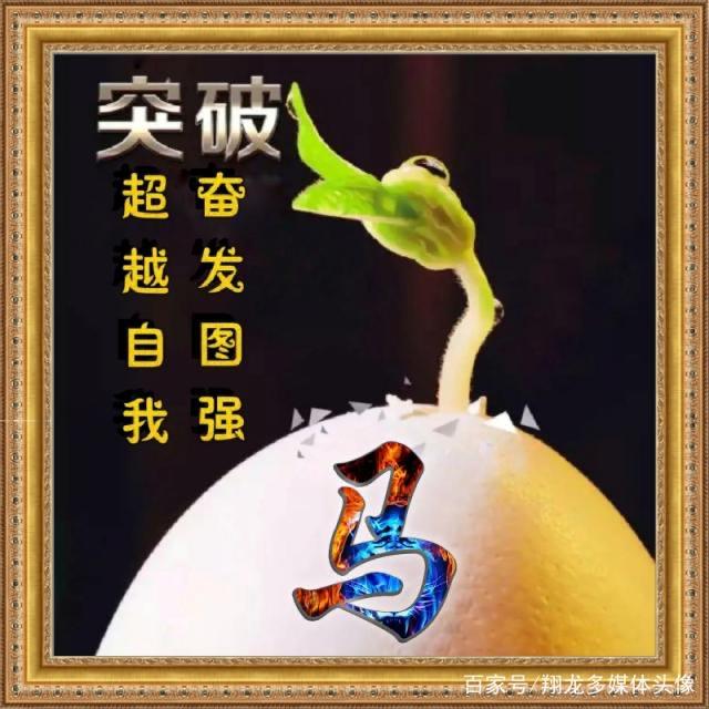 小马哥🦂