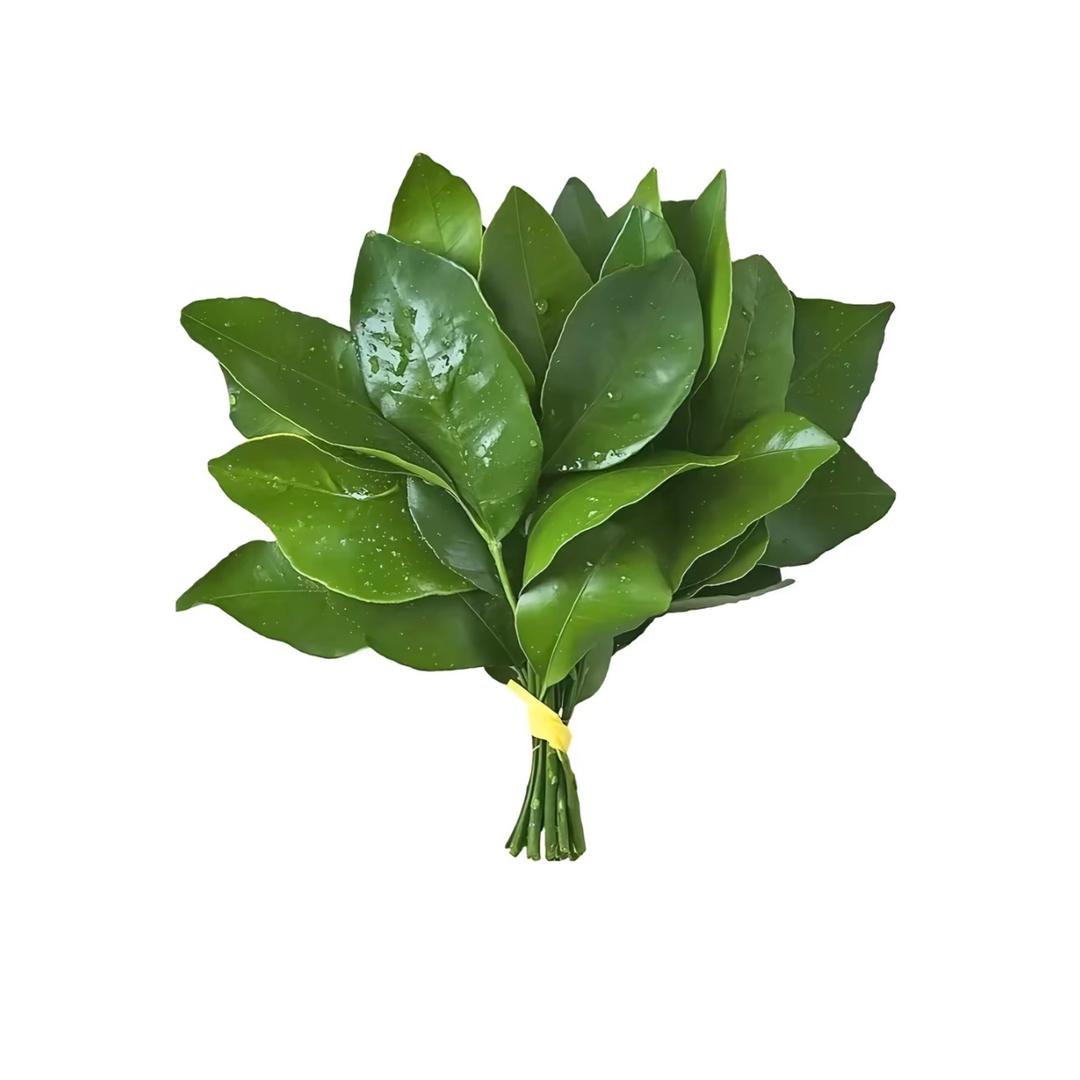 .小徐