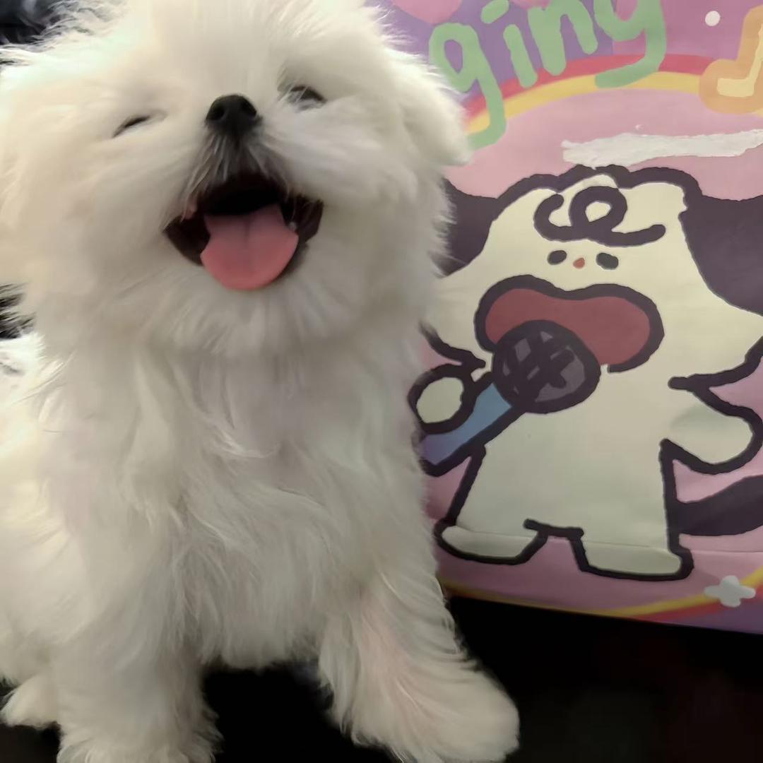 小健GRE