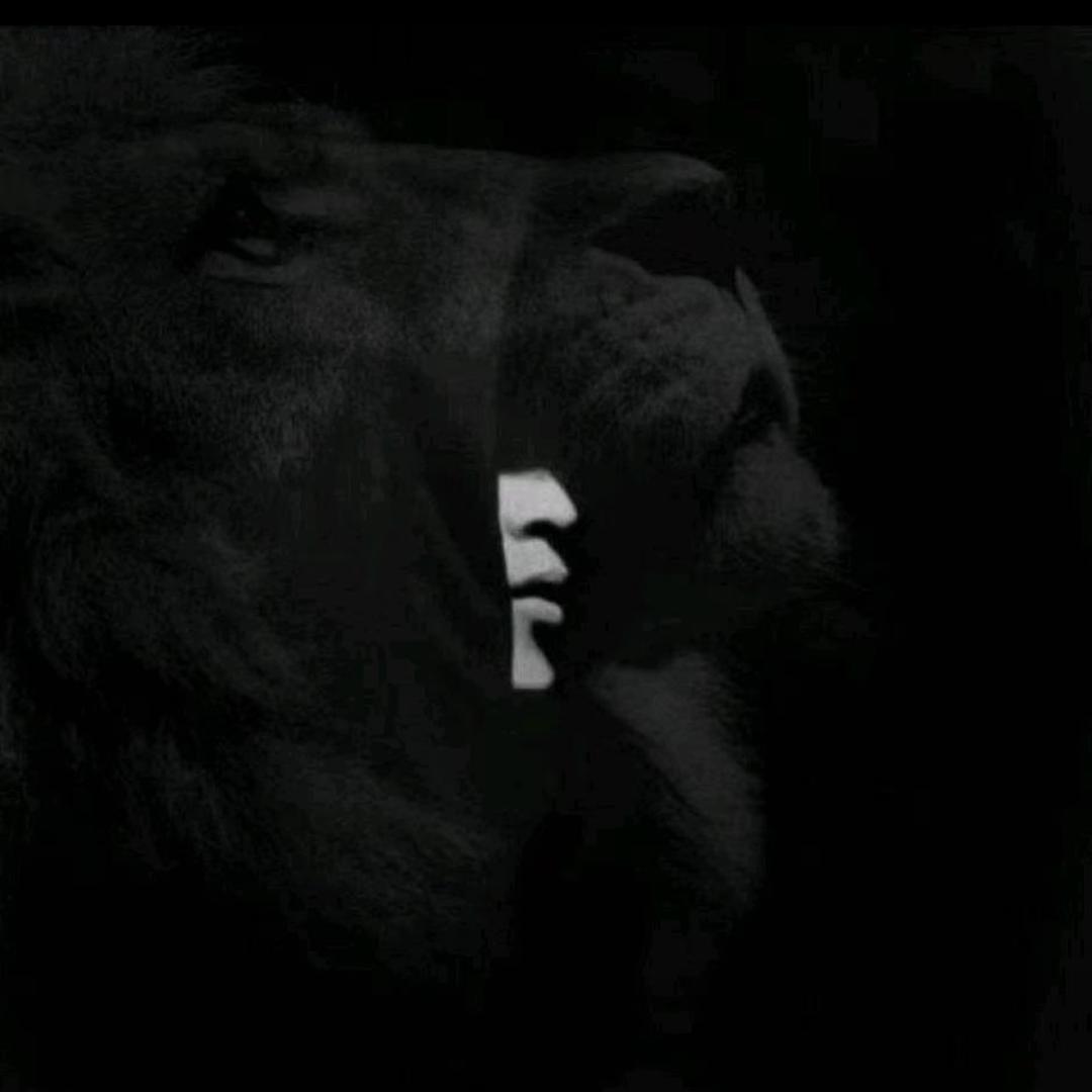 安静的看