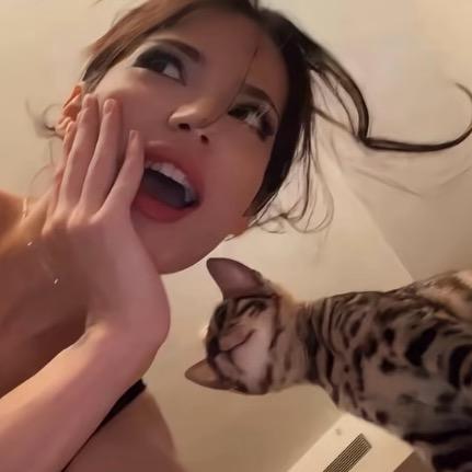 不见