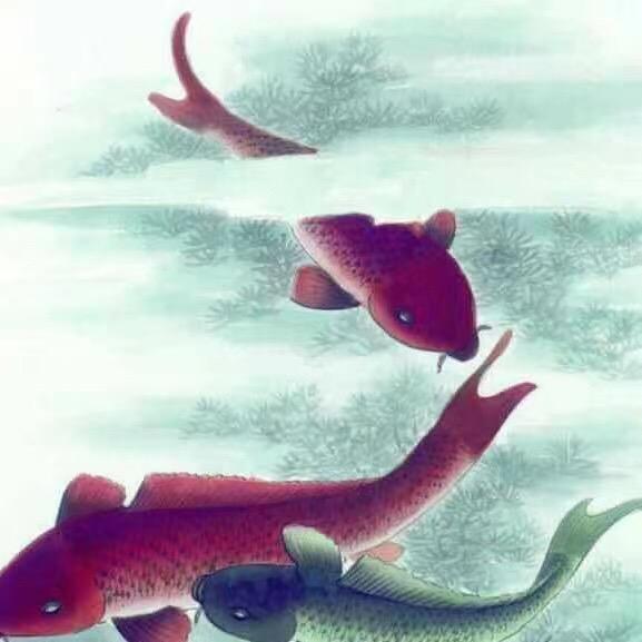 忠记河鲜馆万绿湖东江河鲜