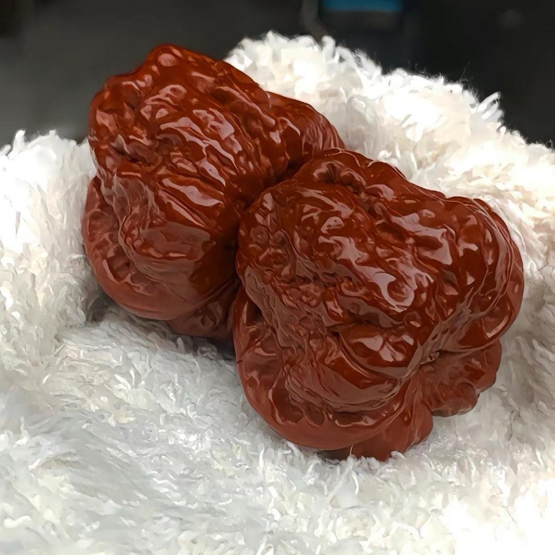 涞水核聚堂
