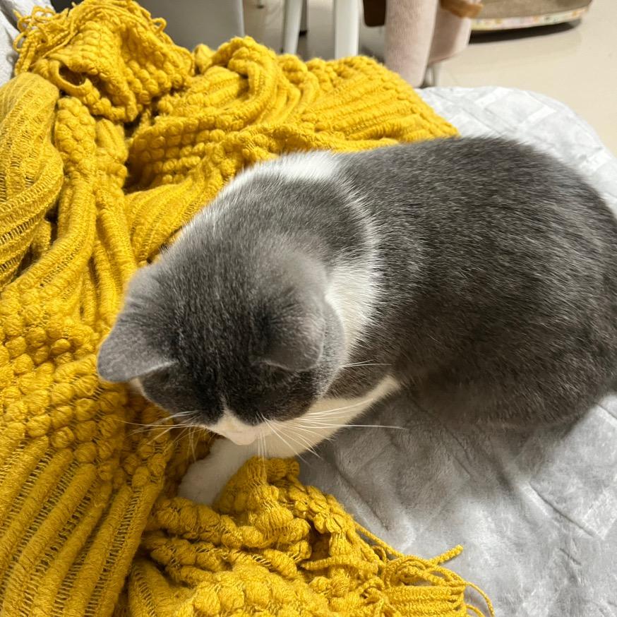 我儿子是个哼唧怪