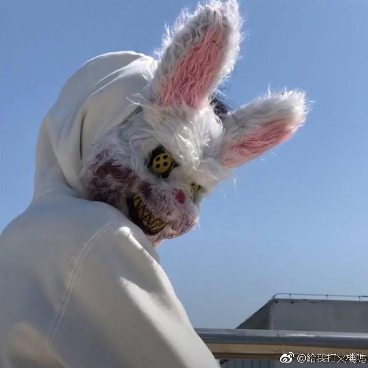 大海苔