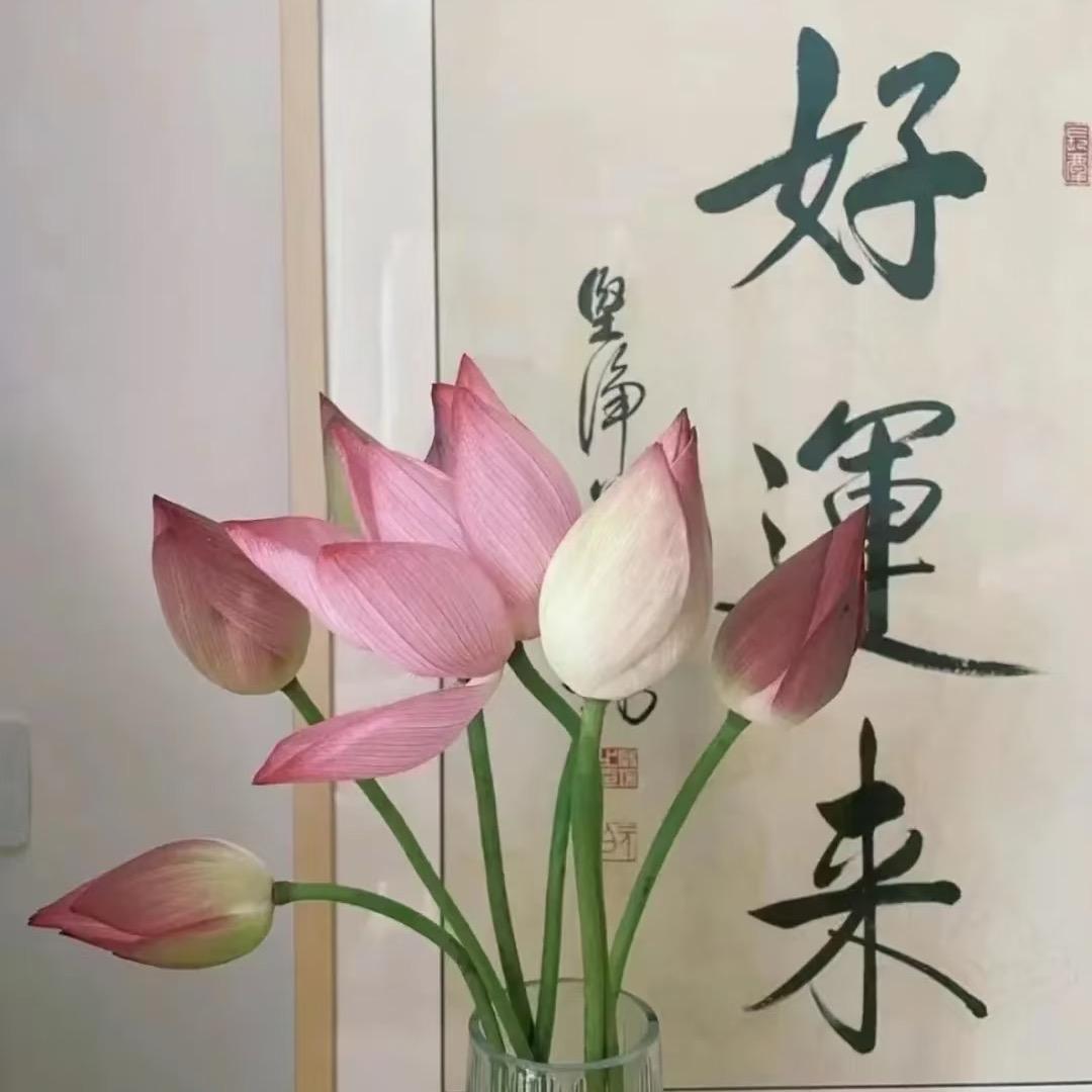 花姐爱生活