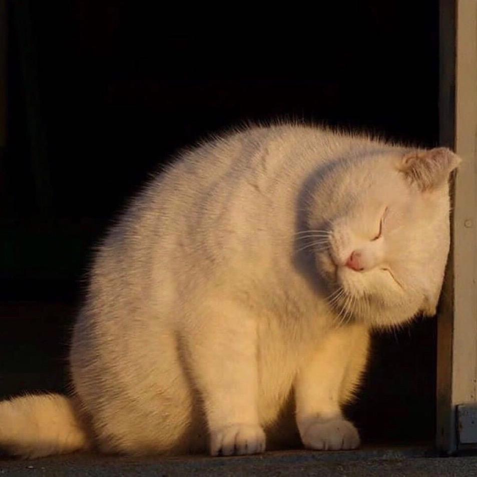 7777777777