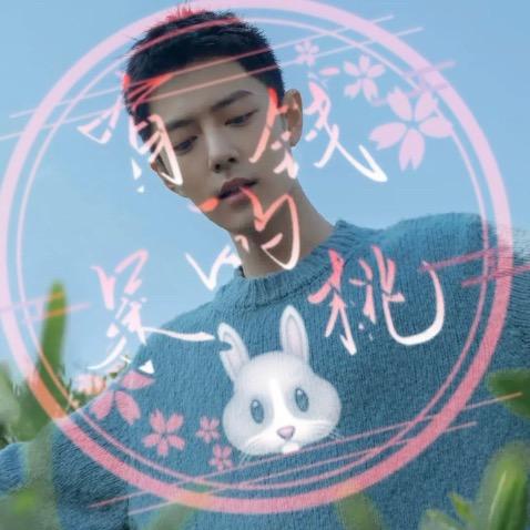 有钱的呆桃🐰1005