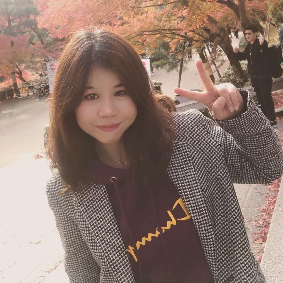 小胖猫