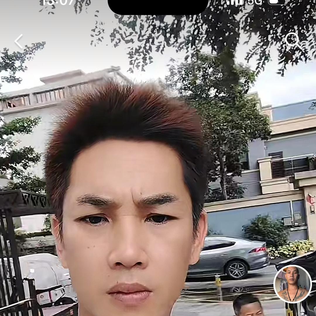 漂泊林