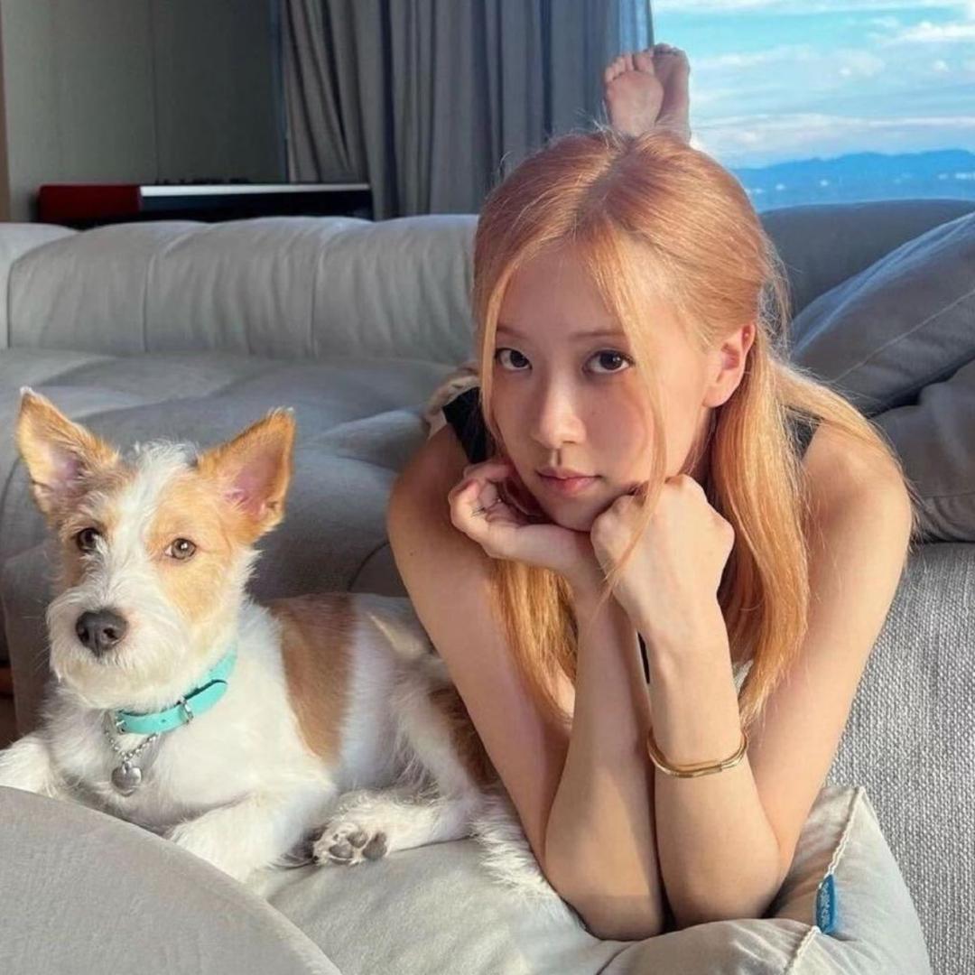 涵少