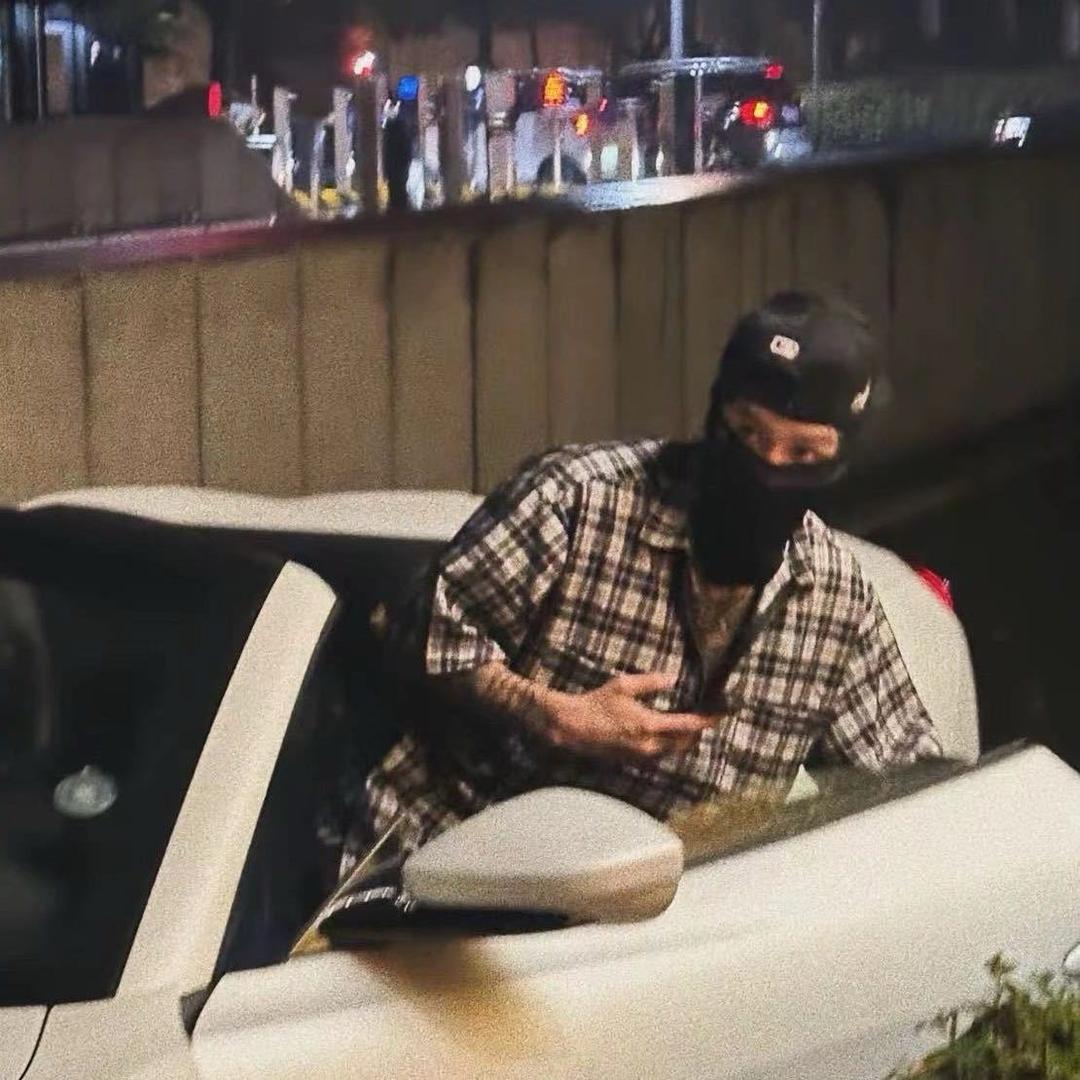 西安网红娱乐林木