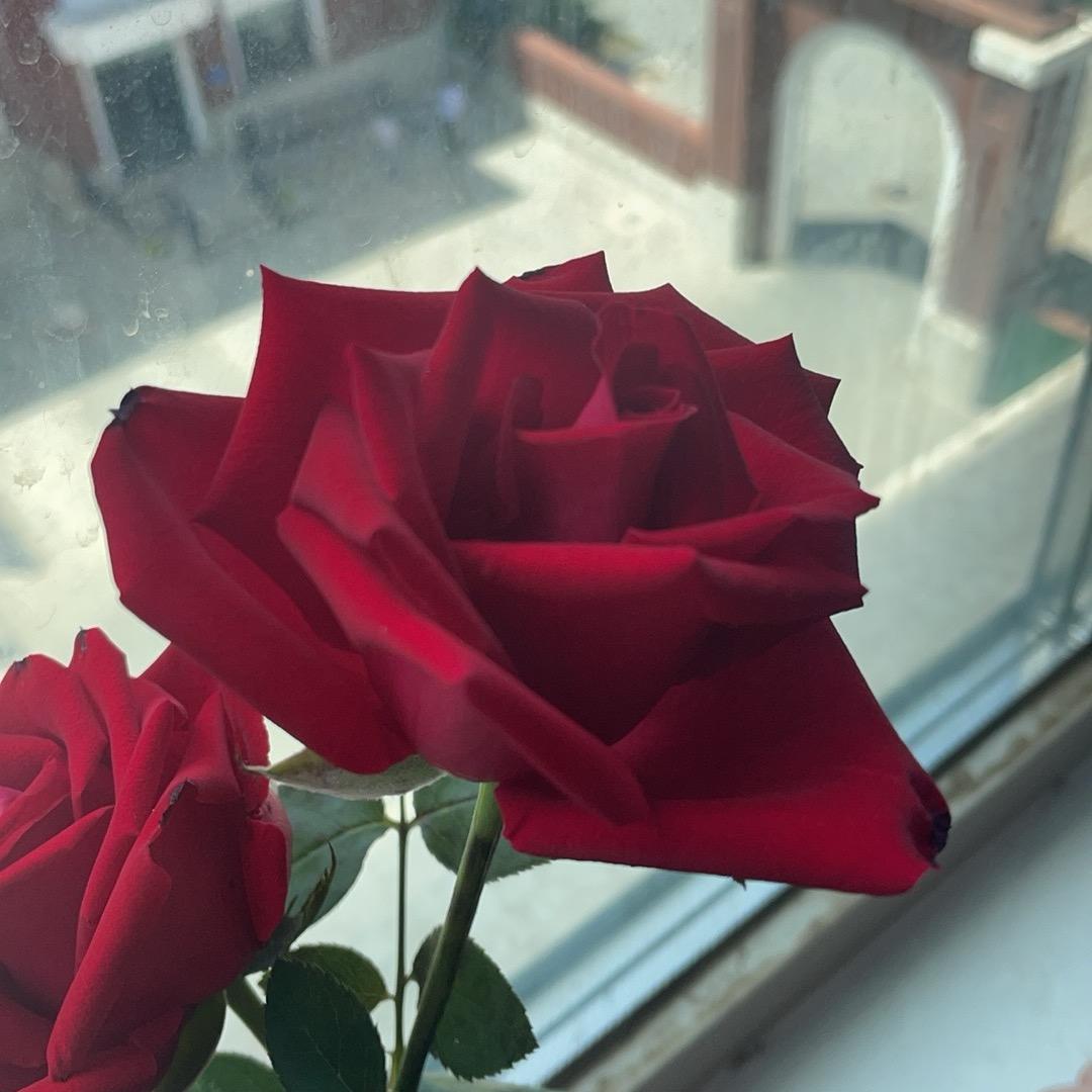 应用b548幸福生活